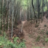 A castle ruin without explanatory signs for its defensive structures—making it q