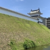 Thumbnail of new posts 081