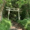 Thumbnail of new posts 137