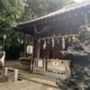 Thumbnail of new posts 069